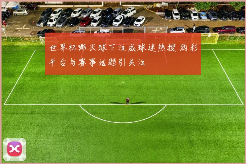 世界杯哪买球下注成球迷热搜 购彩平台与赛事话题引关注